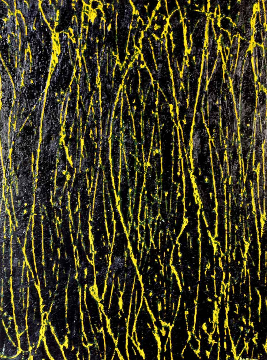 BLACK-FOREST
