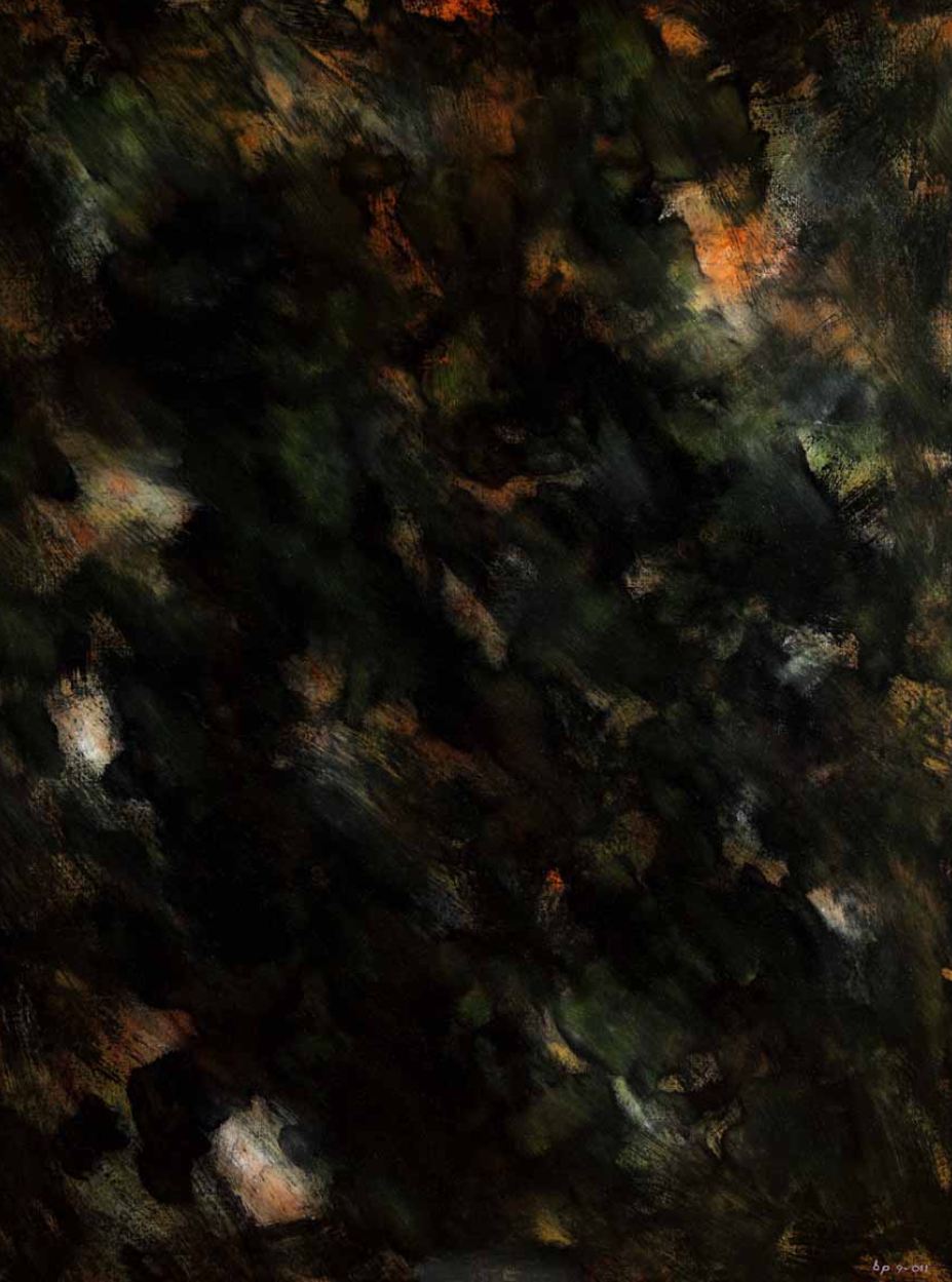 SHADOW_2011